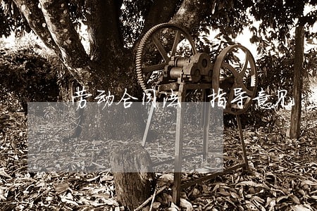 劳动合同法 指导意见